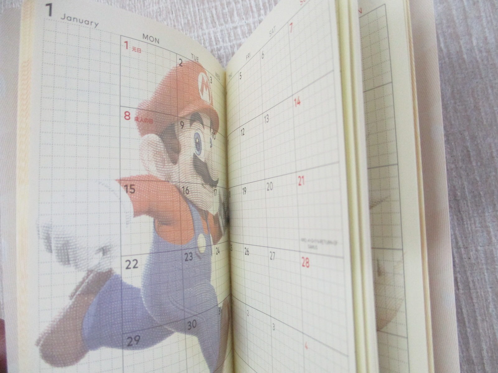 NINTENDO COMPANY BROCHURE for 2024 Entry Complete Set Art Fan Book Japan Ltd