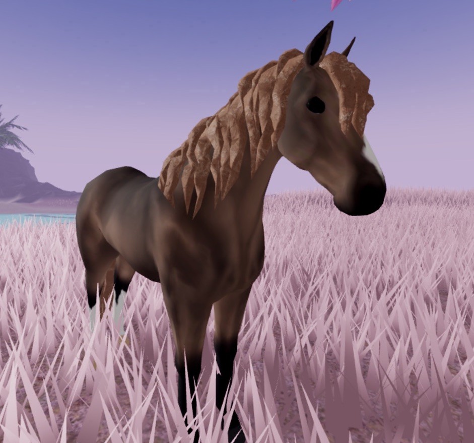 Wild Horse Islands 🌸 IUH Rc Dark Buckskin Limestone Morgan 🌸