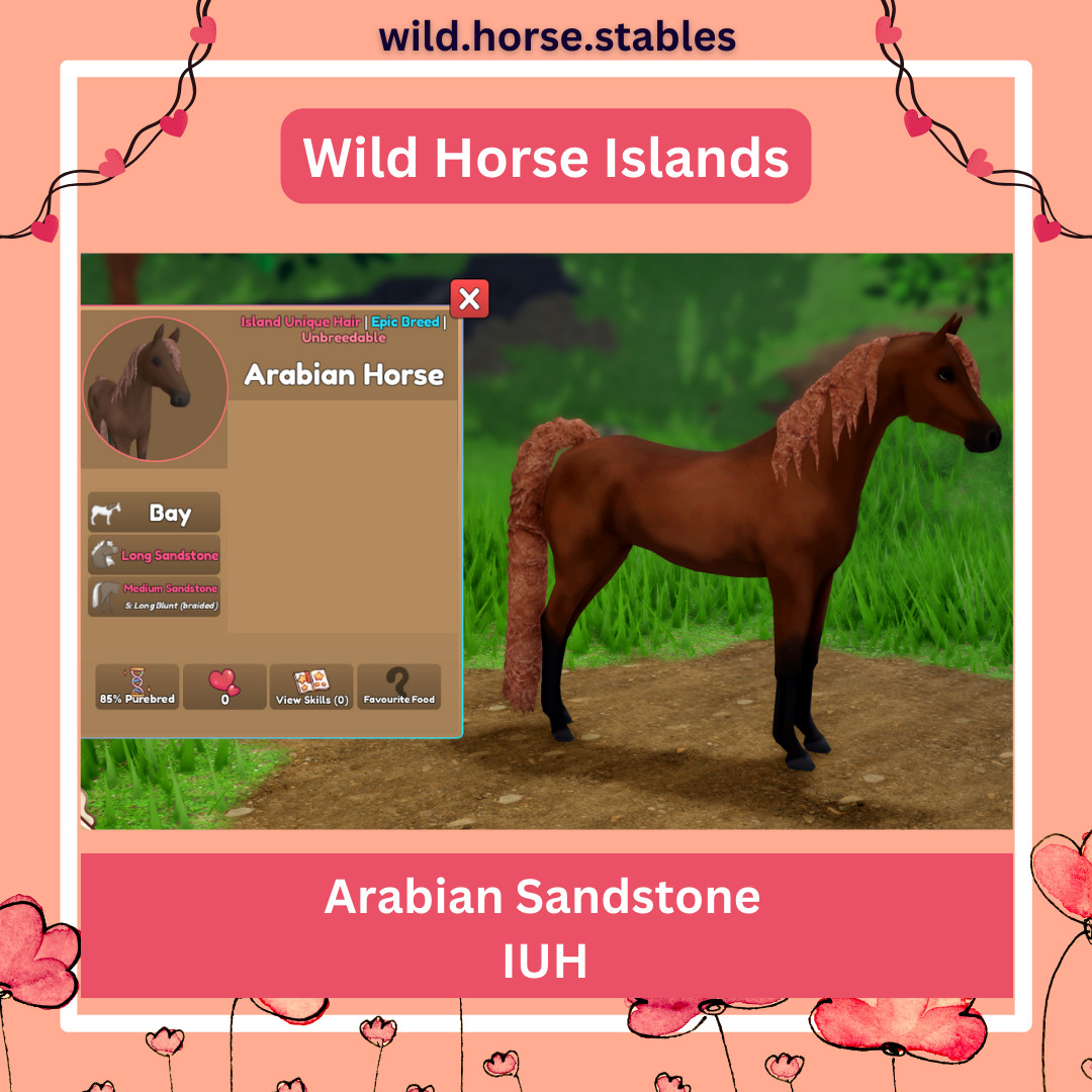 Wild Horse Islands – Arabian Island Unique Hairs/IUH