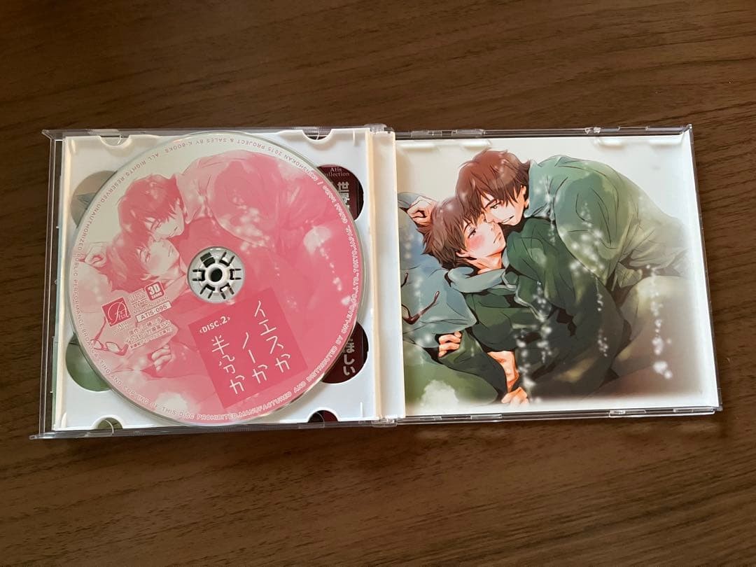 Yes or No or Half? Drama CD Michi Ichiho BL 3.5 in model