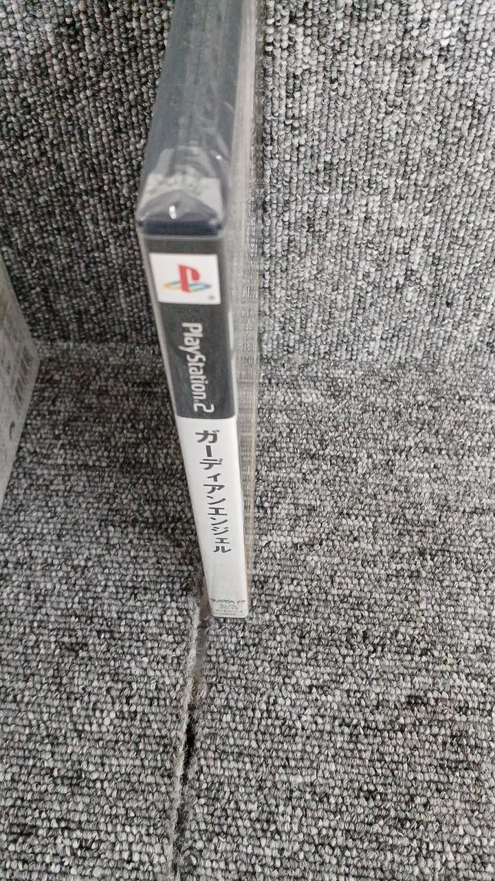 Datum star GUARDIAN ANGEL PS2 Software