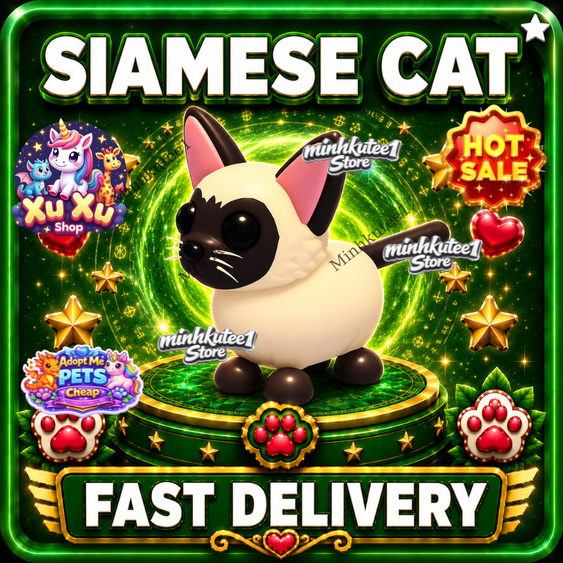 🐱 MFR / NFR / FR / Normal Siamese Cat – Adopt Pet ⚡ Fast Delivery Today