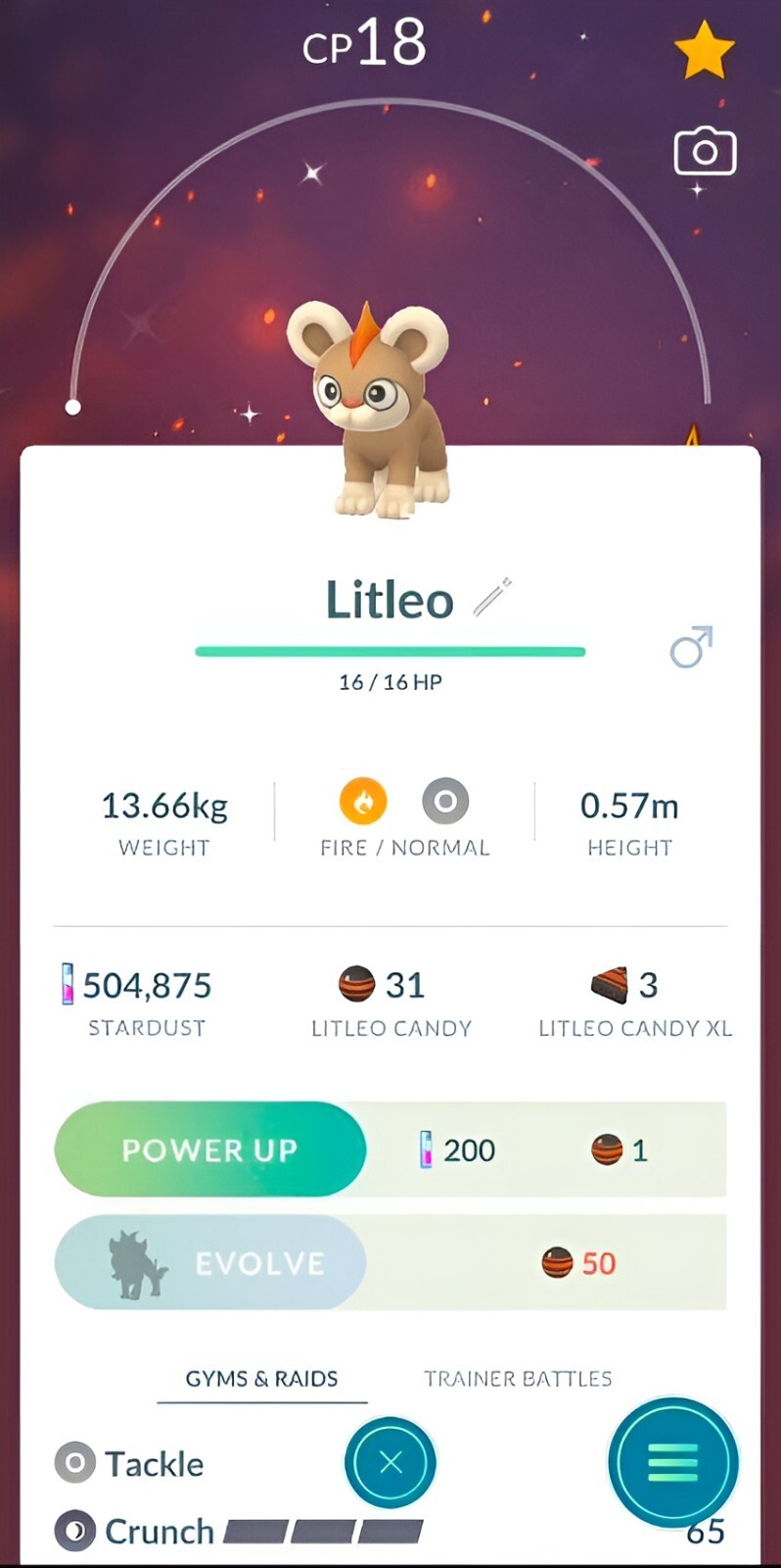 Shiny Litleo Male Level 1 | new several options | Tr-de Go✨