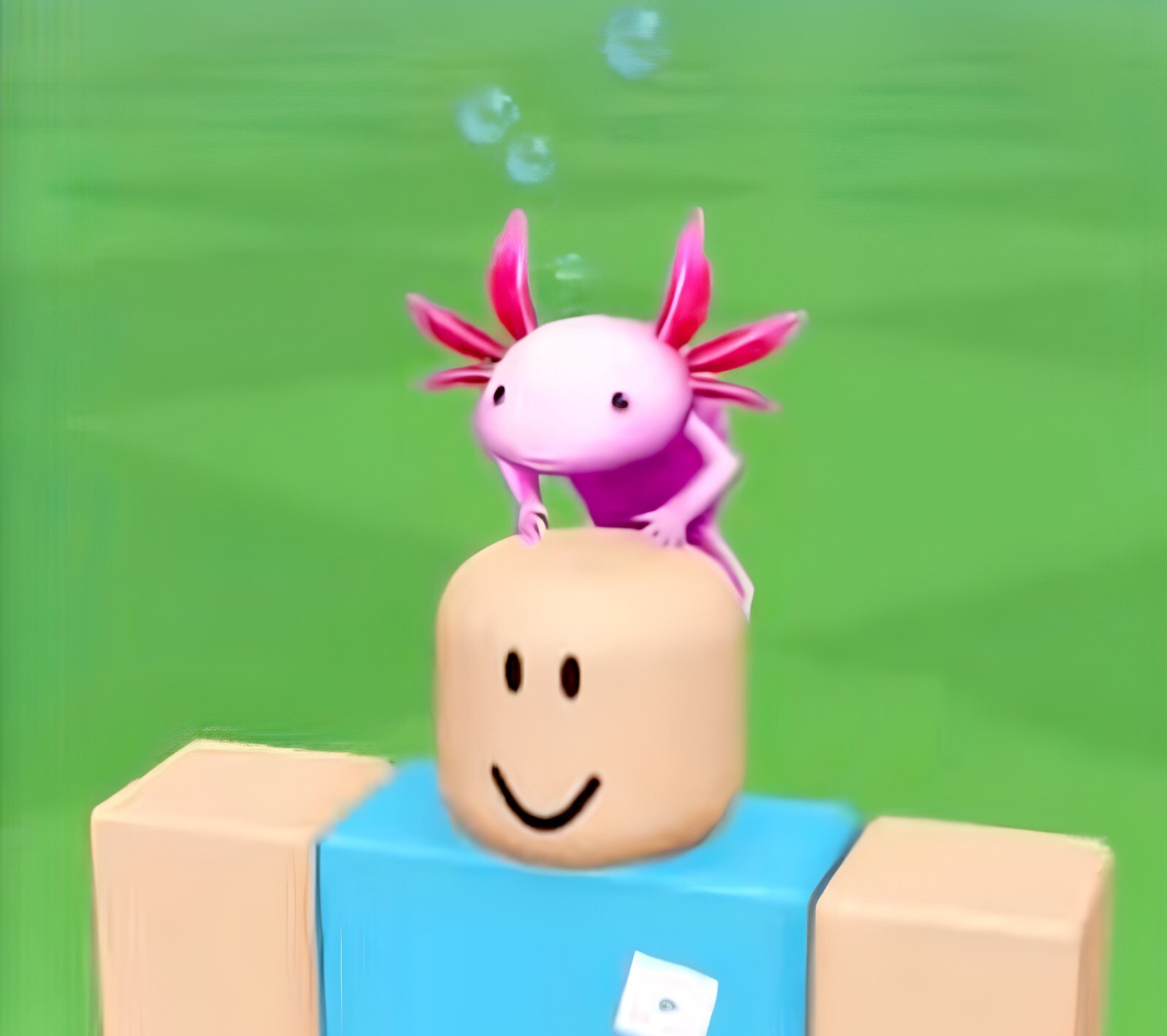 ROBLOX 7-Eleven Japan Rosy Pink Axolotl Special Effects Code Sent in Messages