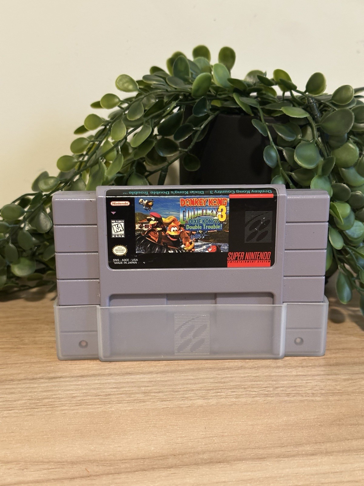 Donkey Kong Country 3: Dixie Kong’s Double Trouble! SNES Game Tested