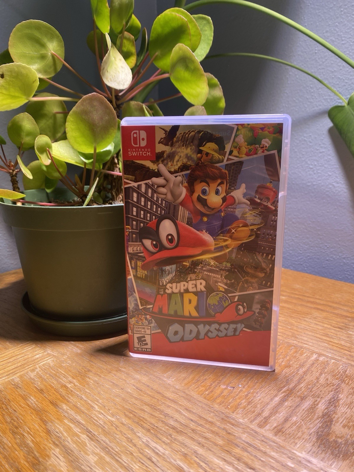 Nintendo Super Mario Odyssey Nintendo Switch w/ Case Multiplayer NTSC E10+ 2017
